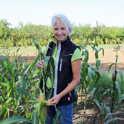 "Erst wenn der Mais älter wird und somit reifer, fängt er mit der Einfärbung an." Gartenbautechnikerin Magdalena Becker auf dem Feld mit den Maispflanzen, die für die Eröffnung der Adveniat-Weihnachtsaktion ausgesät wurden. 