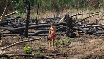 Die Zerstörung der Lebenswelt der indigenen Völker schreitet auch ein Jahr nach der Amazonas-Synode weiter voran. Foto: Jürgen Escher/Adveniat
